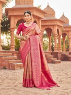 Burgundy Sequin Saree