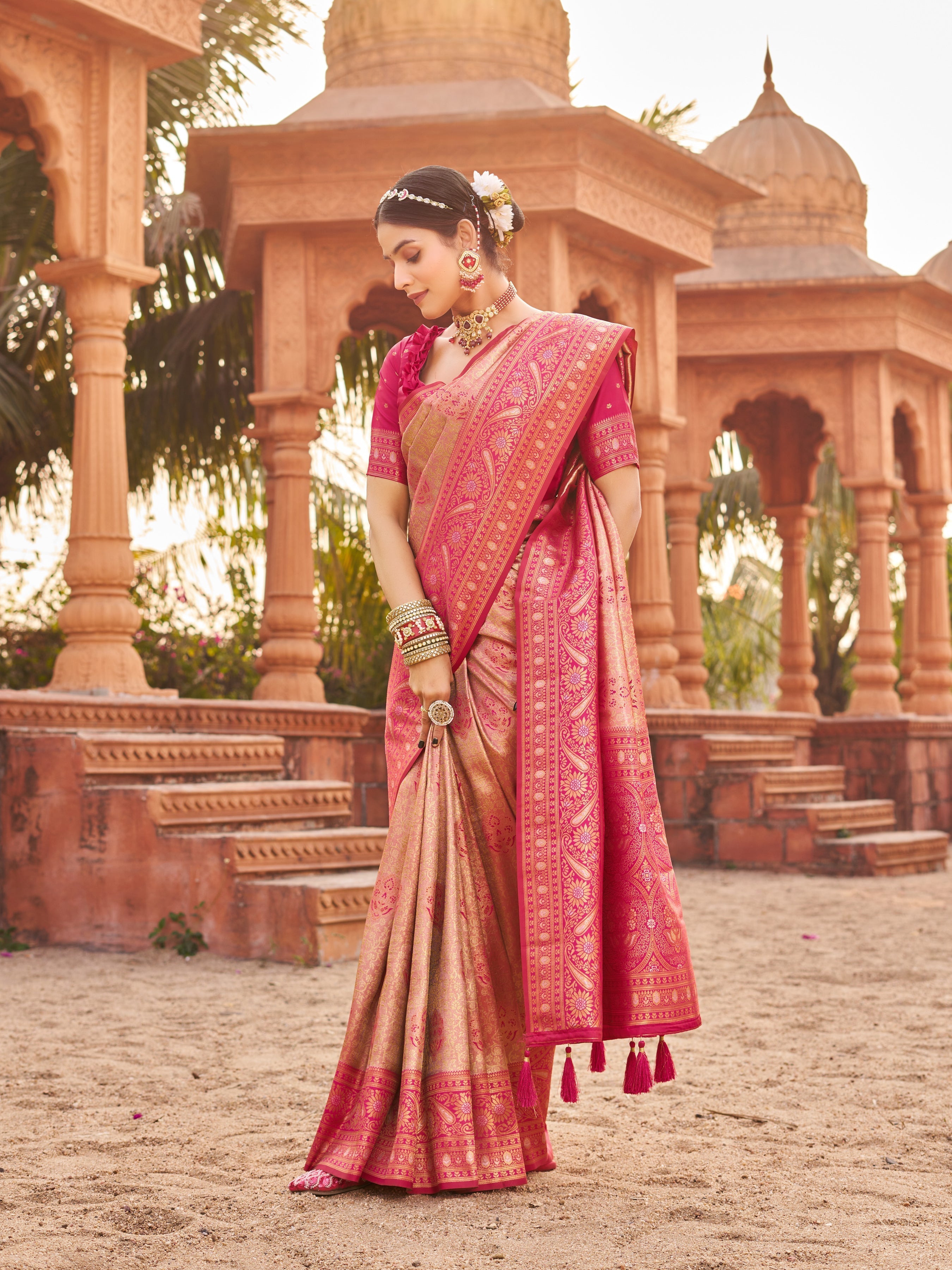 Burgundy Sequin Saree