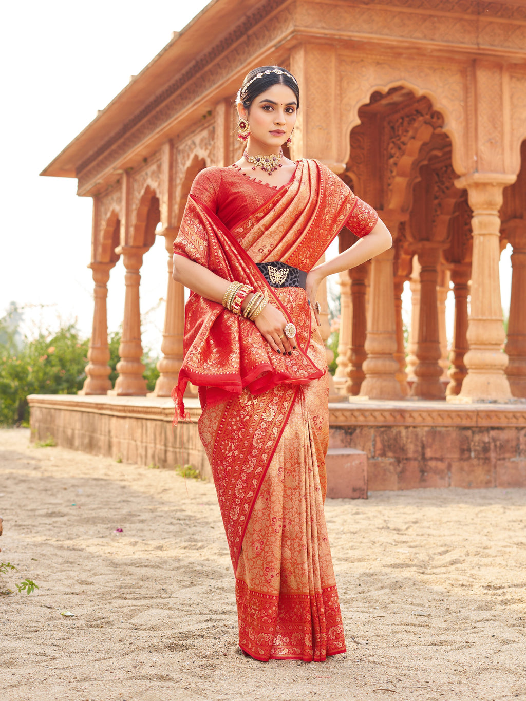 Mauve Sequin Saree