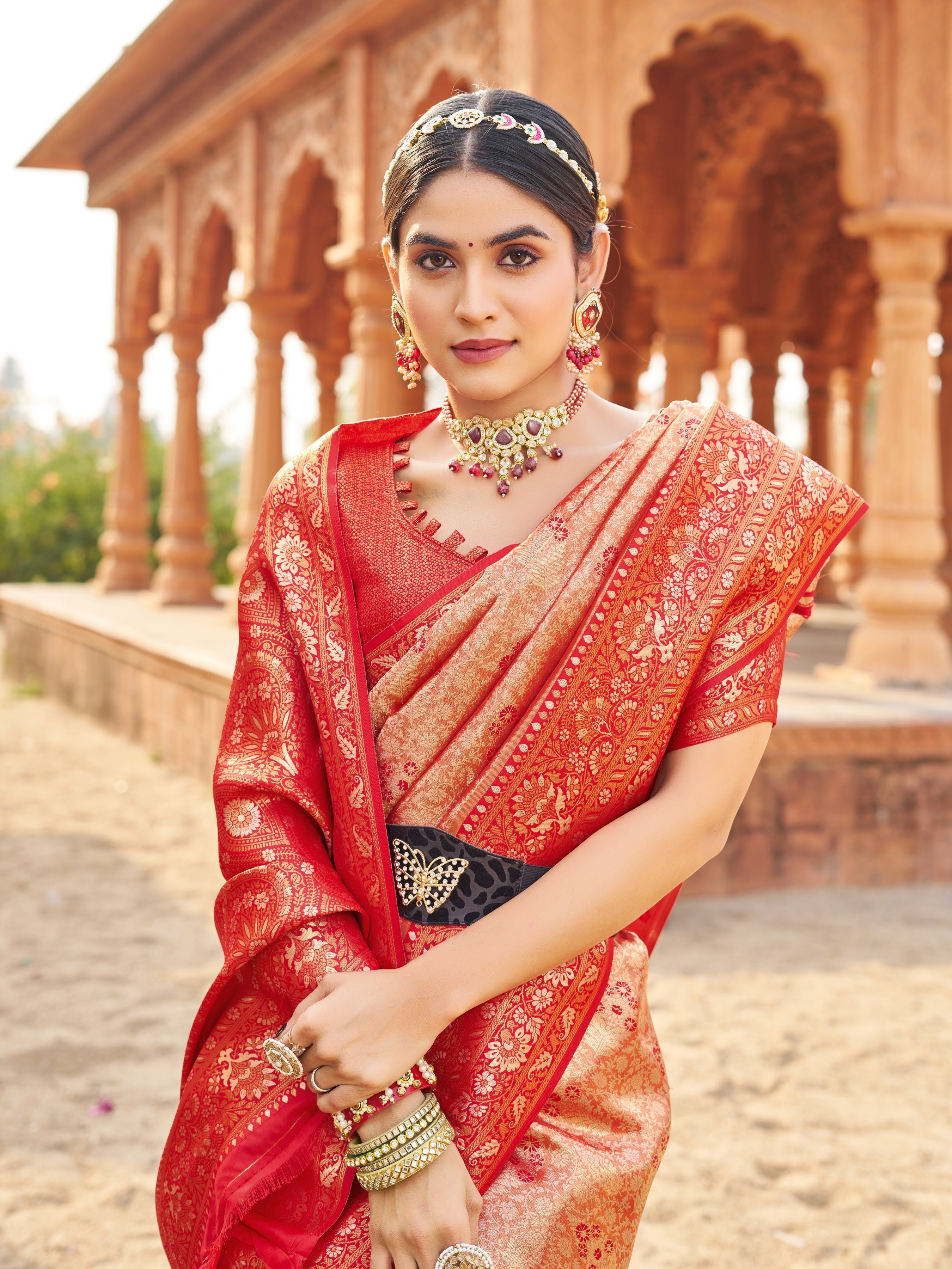 Mauve Sequin Saree
